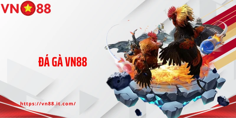 Đá gà VN88