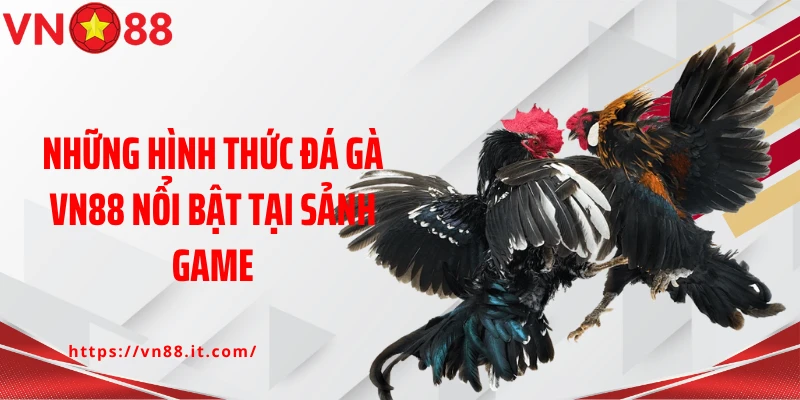Những hình thức đá gà VN88 nổi bật tại sảnh game