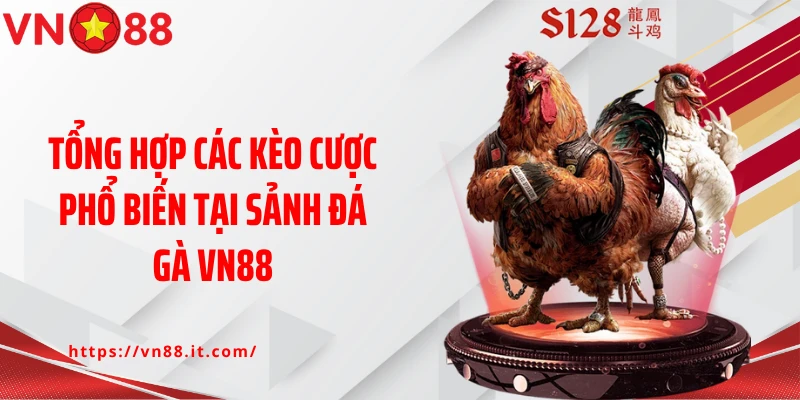 Tổng hợp các kèo cược phổ biến tại sảnh đá gà VN88